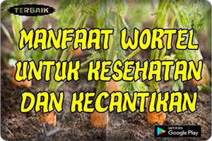 Khasiatt Wortel Untuk Kesehatan Dan Kecantikan Top 스크린샷 1