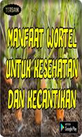 برنامه‌نما Khasiatt Wortel Untuk Kesehatan Dan Kecantikan Top عکس از صفحه