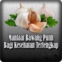 Manfaat Bawang Putih Plakat