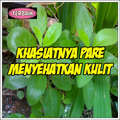 khasiatnya Pare Menyehatkan Kulit sampai Jantung