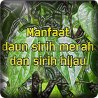 Manfaat Daun Sirih আইকন