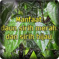 Manfaat Daun Sirih Plakat