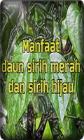 Manfaat Daun Sirih স্ক্রিনশট 2