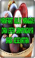 برنامه‌نما Khasiat  Kulit Manggis Dan Efek Sampingnya Top عکس از صفحه