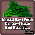 Manfaat Sawi Putih Dan Sawi Hijau Bagi Kesehatan ícone