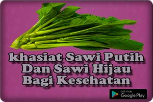 Manfaat Sawi Putih Dan Sawi Hijau Bagi Kesehatan screenshot 1