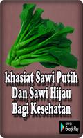 برنامه‌نما Manfaat Sawi Putih Dan Sawi Hijau Bagi Kesehatan عکس از صفحه