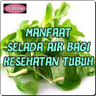 Manfaat Selada Air Bagi Kesehatan Tubuh 圖標