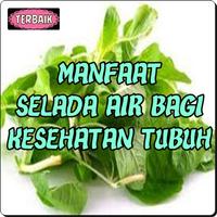 Manfaat Selada Air Bagi Kesehatan Tubuh poster