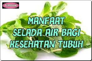 Manfaat Selada Air Bagi Kesehatan Tubuh تصوير الشاشة 1