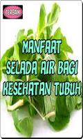 Manfaat Selada Air Bagi Kesehatan Tubuh 截圖 2