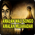 Amalan Wali Songo icône