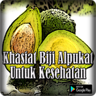 Khasiat Biji Alpukat Untuk Kesehatan icon