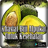 Khasiat Biji Alpukat Untuk Kesehatan পোস্টার