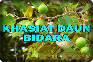 Khasiat Daun Bidara capture d'écran 1