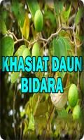 Khasiat Daun Bidara capture d'écran 2