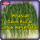 Khasiat Daun Kucai Untuk Kesehatan Top APK