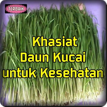 Khasiat Daun Kucai Untuk Kesehatan Top Para Android Apk Baixar