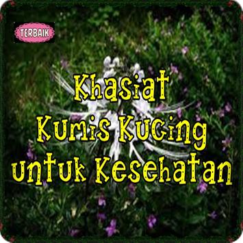 Khasiat Kumis Kucing Untuk Kesehatan Lengkap For Android