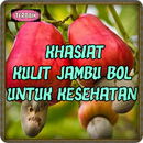 Khasiat Kulit Jambu Bol Untuk Kesehatan Top APK