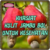 Khasiat Kulit Jambu Bol Untuk Kesehatan Top পোস্টার