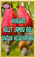 برنامه‌نما Khasiat Kulit Jambu Bol Untuk Kesehatan Top عکس از صفحه