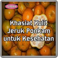 Khasiat Kulit Jeruk Ponkam Untuk Kesehatan Top الملصق