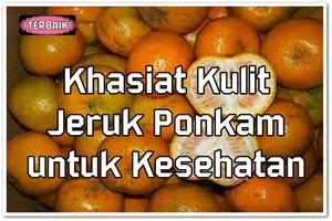 Khasiat Kulit Jeruk Ponkam Untuk Kesehatan Top скриншот 1