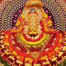 Khatu Shyam Chalisa,Aarti,Pics APK