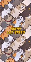 cat breed quiz poster