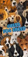 dog breed quiz poster
