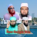 ”N bangla waz