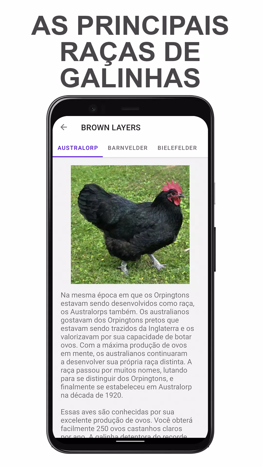 Chicken Evolution: Galinhas – Apps no Google Play