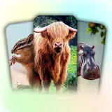 Animal Flashcards for Kids APK