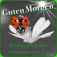 Guten Morgen und Gute Nacht Afbeeldingen 2020 スクリーンショット 3