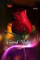 Good Night Flowers 海报