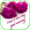 Good Morning Nice