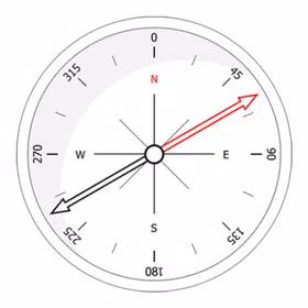 Compass Lite