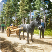 Donkey Corolla : Cargo Donkey king 2019 Parking