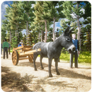 Donkey Corolla : Cargo Donkey king 2019 Parking APK