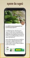Khmer Knowledge Hunt screenshot 3
