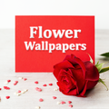flower wallpaper