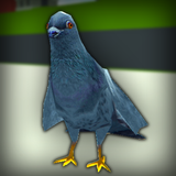 Pigeon Rampage Simulator APK