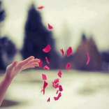 خواطر راقية