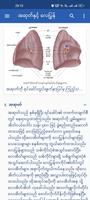 ခန္ဓာဗေဒ imagem de tela 1