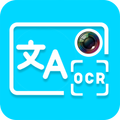 Cam Translator: Image to Any L