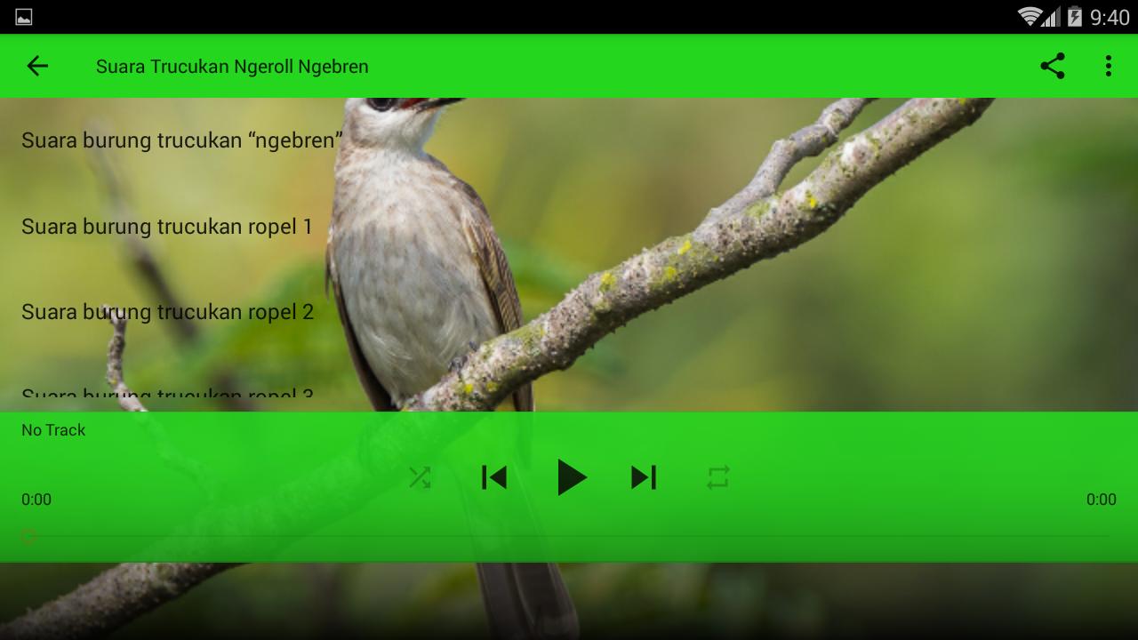 Kicau Burung Trucukan Gacor For Android Apk Download