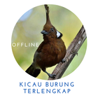 Kicau Burung Terlengkap Zeichen