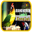 Master Lovebrid BIYANG KEROK Konslet