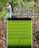 Suara Pikat Ruak Ruak MP3 скриншот 2